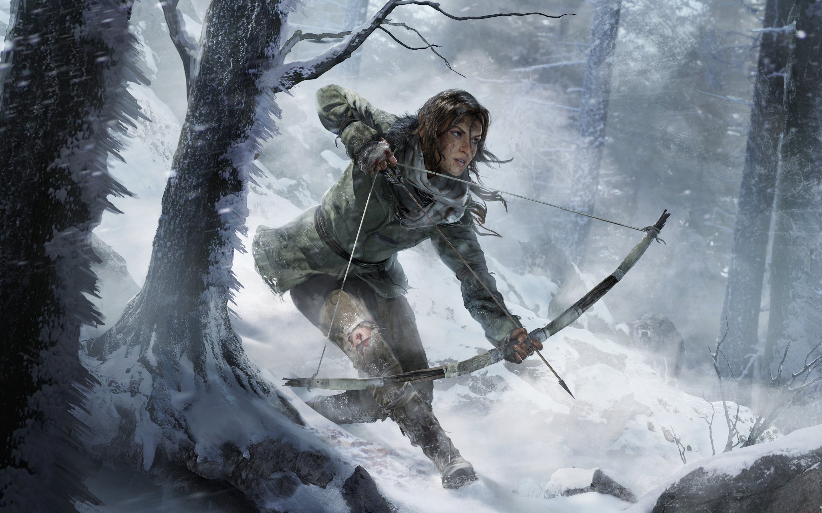 Rise Of The Tomb Raider Game Exclusive HD Wallpaper
