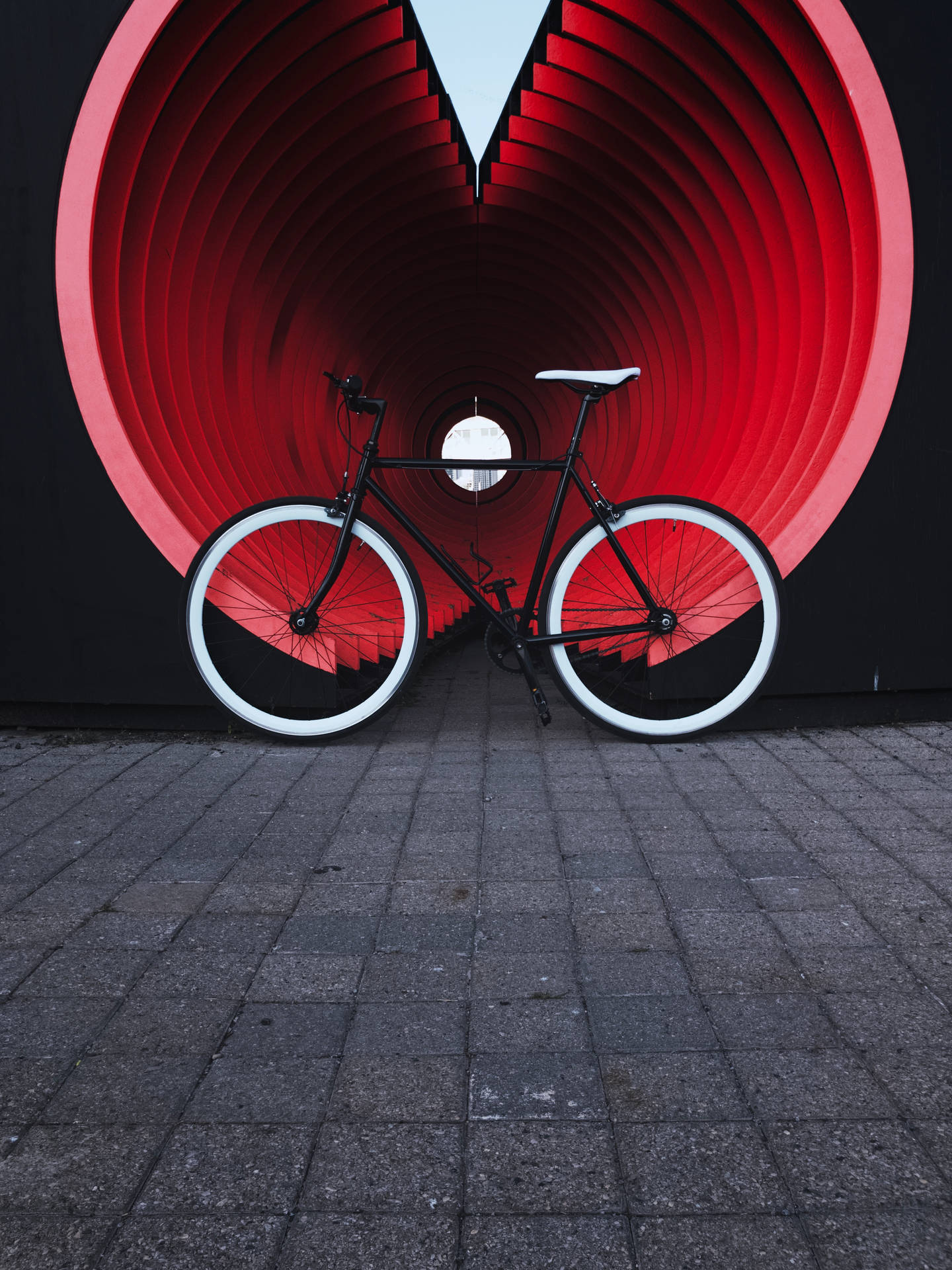Mountain Bike Wallpaper