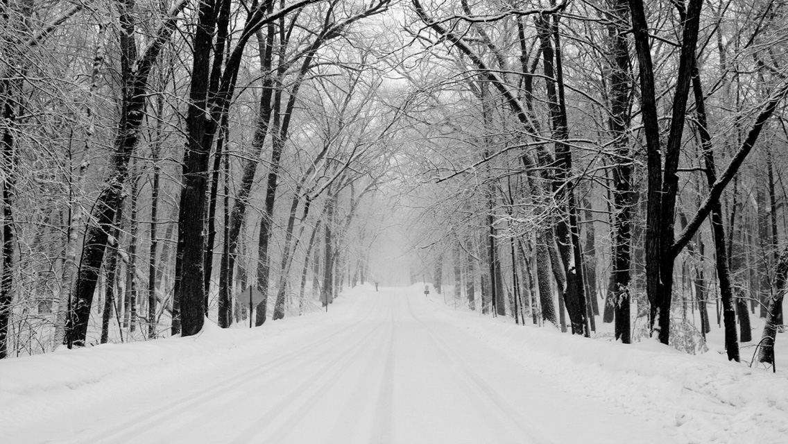 Wallpaper Winter Snowy Road HD For iPhone