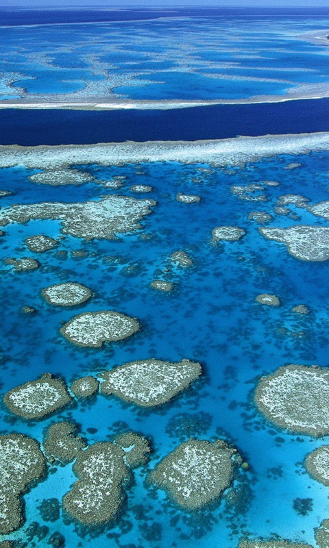 Wallpaper HD Read This First The Great Barrier Reef Live