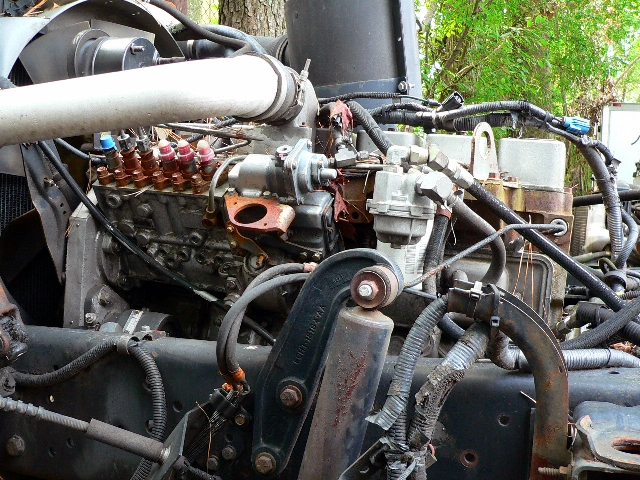 junkyard tour under1981 antique auto parts in grimsley tennessee
