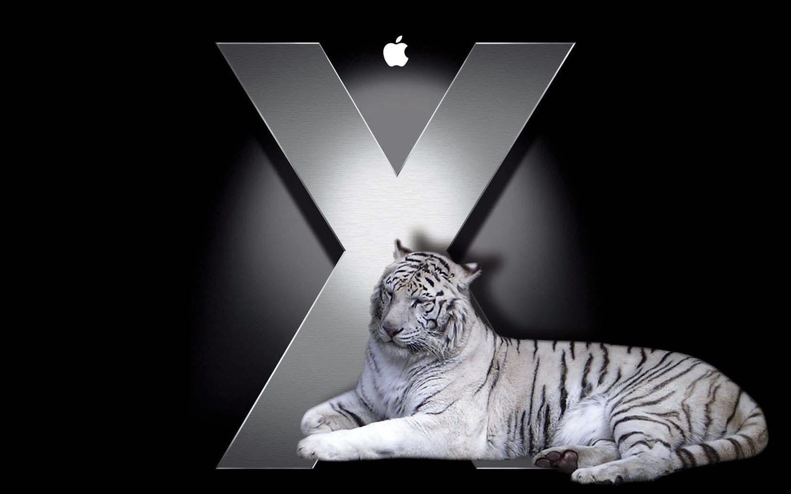Mac Os X Tiger Desktop Background Photos