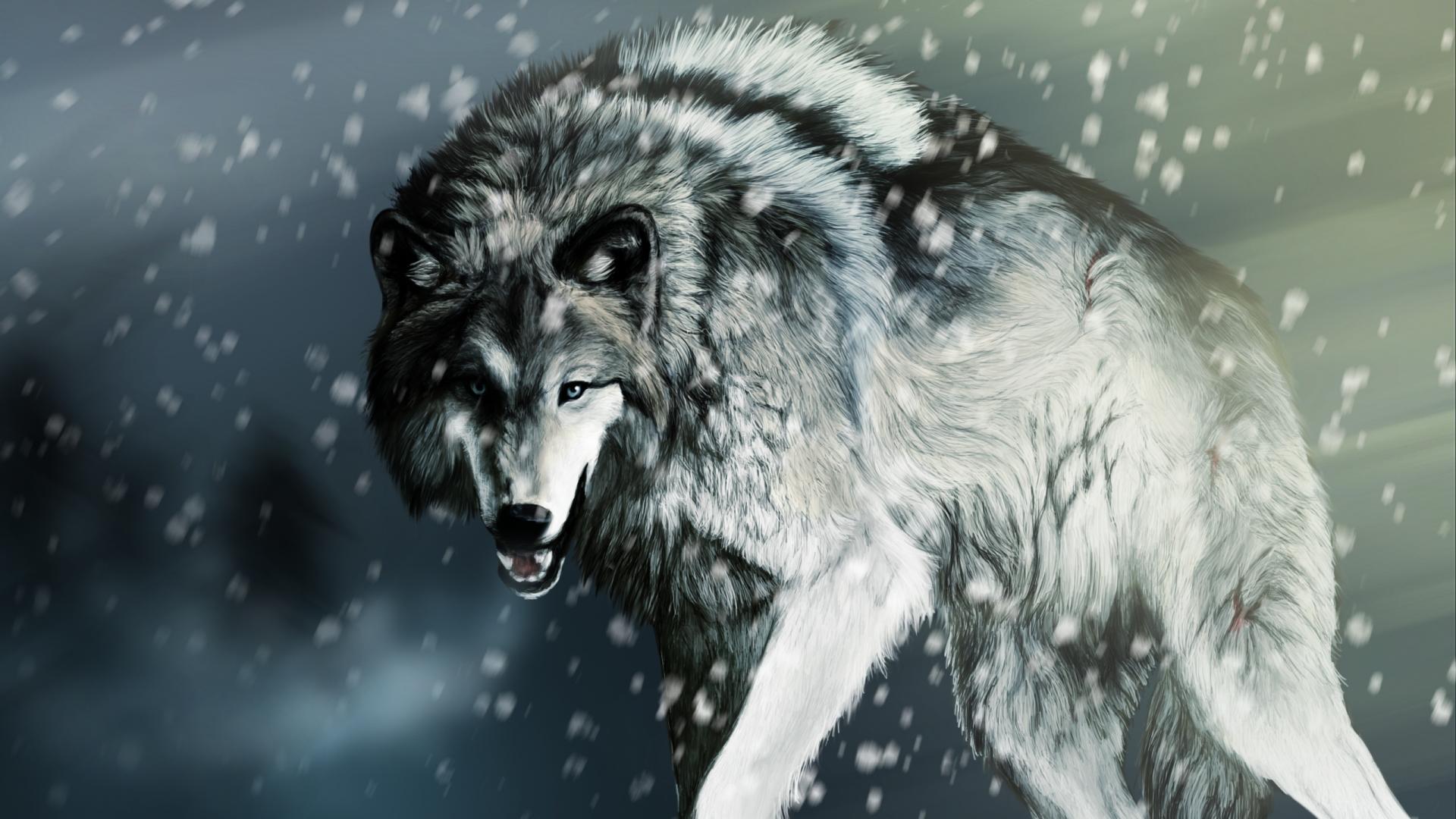 snarling gray wolf new desktop wallpapers wide free in high resolution
