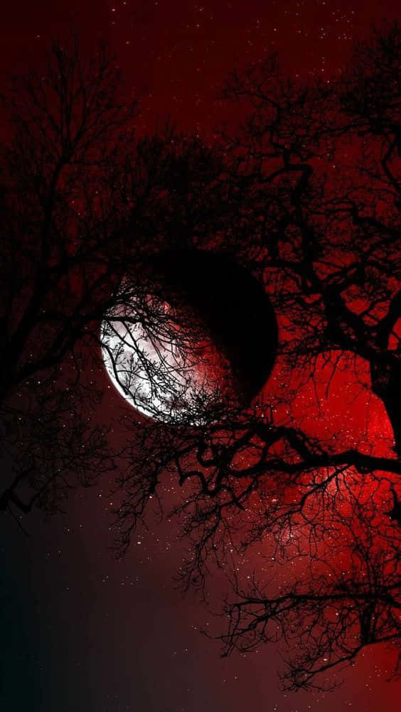 Vampire Aesthetic Wallpaper