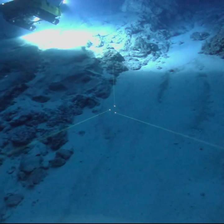 Bowtech Cameras And Lasers Used On The Nekton First Descent