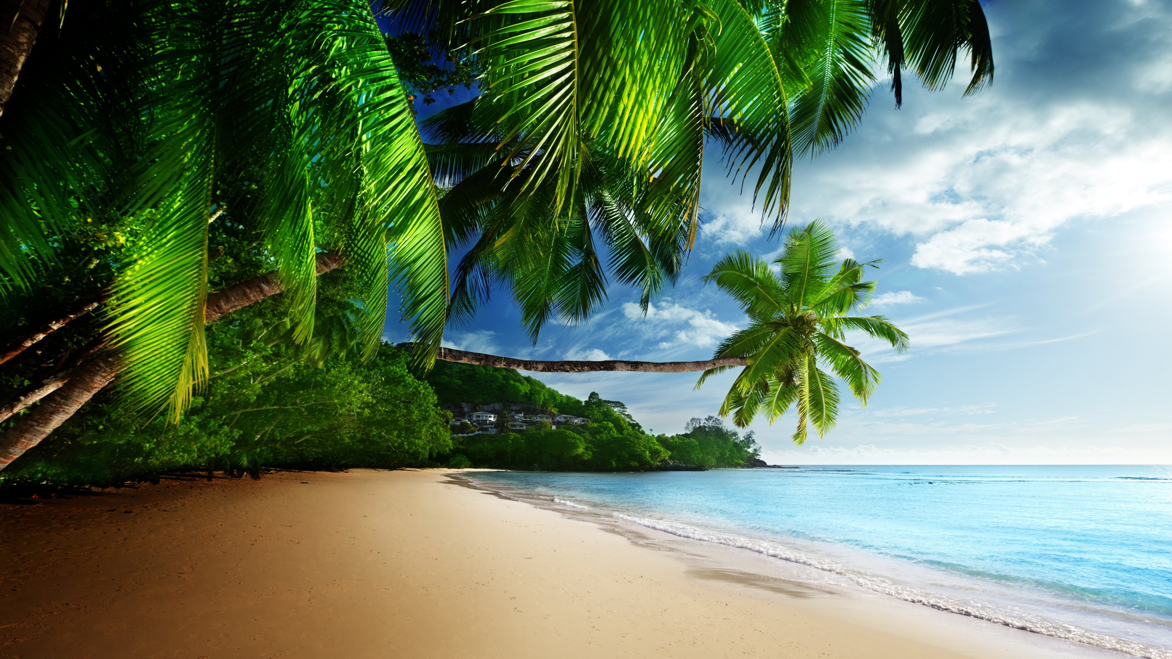 Hình ảnh bãi biển nhiệt đới HD sẽ đưa bạn đến với những bãi biển đầy màu sắc và sự sống động. Nhìn thế giới dưới con mắt HD, bạn sẽ cảm nhận được các hạt cát và những đợt sóng xô bờ từng cơn. Bãi biển nhiệt đới HD sẽ mang đến cho bạn một trải nghiệm tuyệt vời trong suốt ngày hè nóng bức.