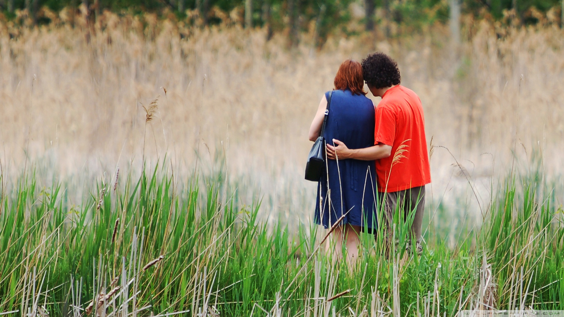 Love Couple Images Hd - werohmedia