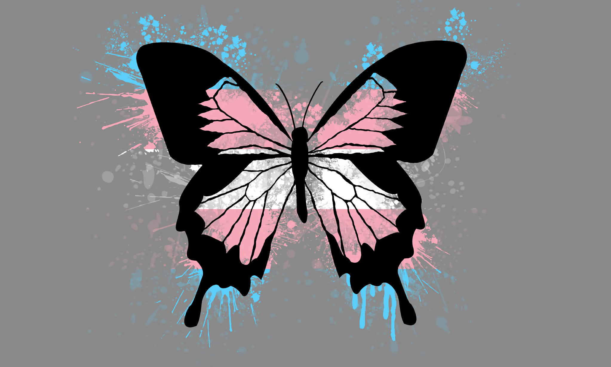 Transgender Pride Wallpaper