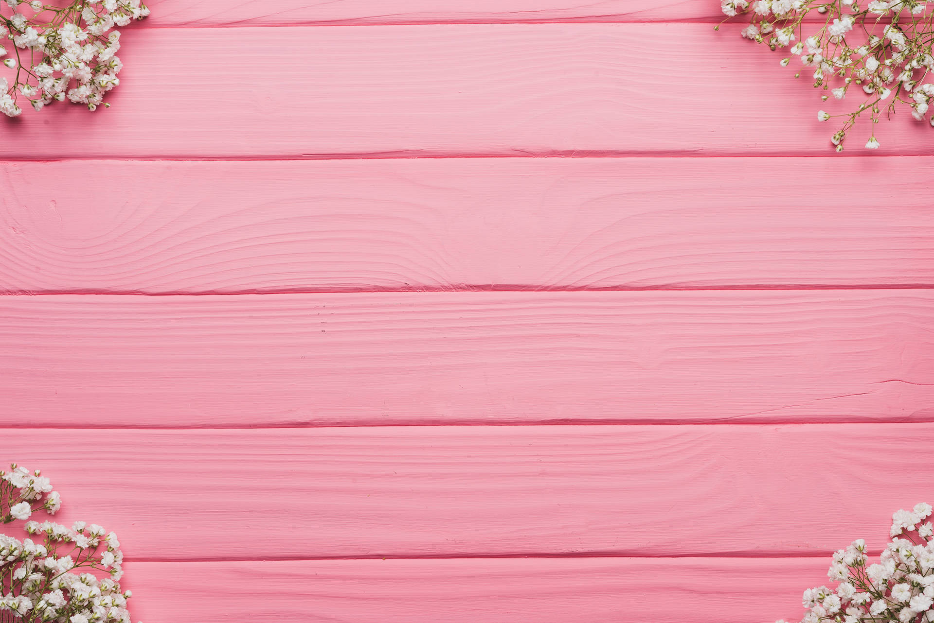 Pink Color Wallpaper S