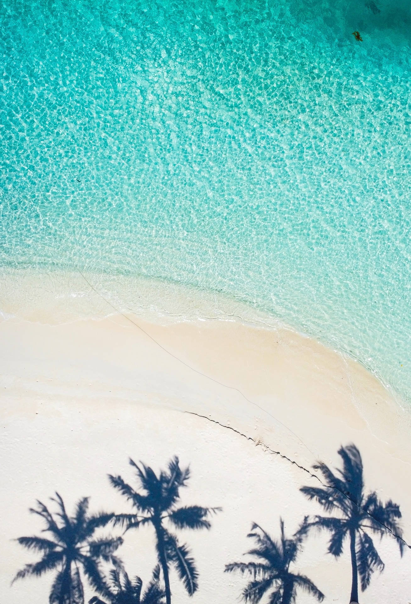 Ocean Blue Wallpaper
