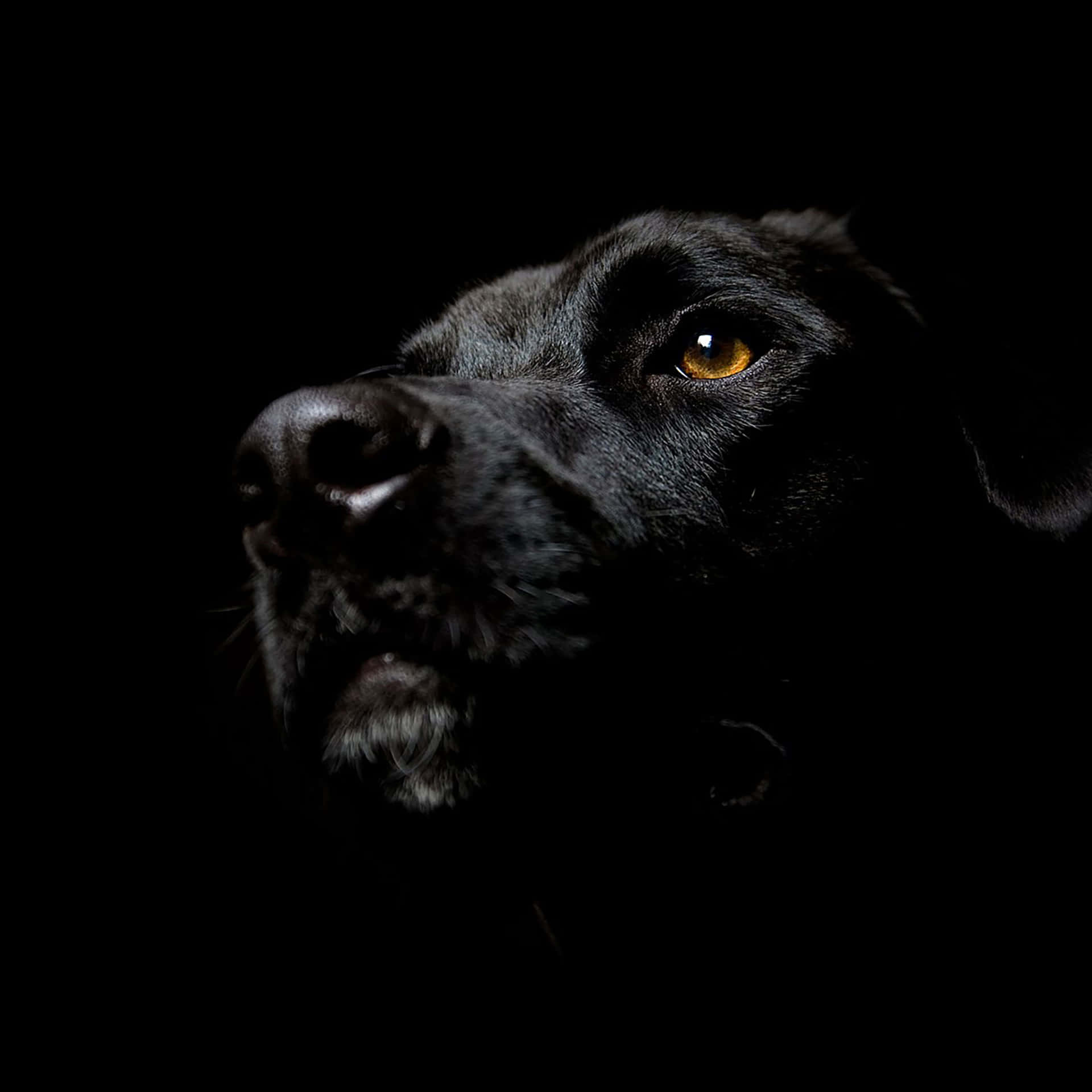 Dark Ipad Wallpaper
