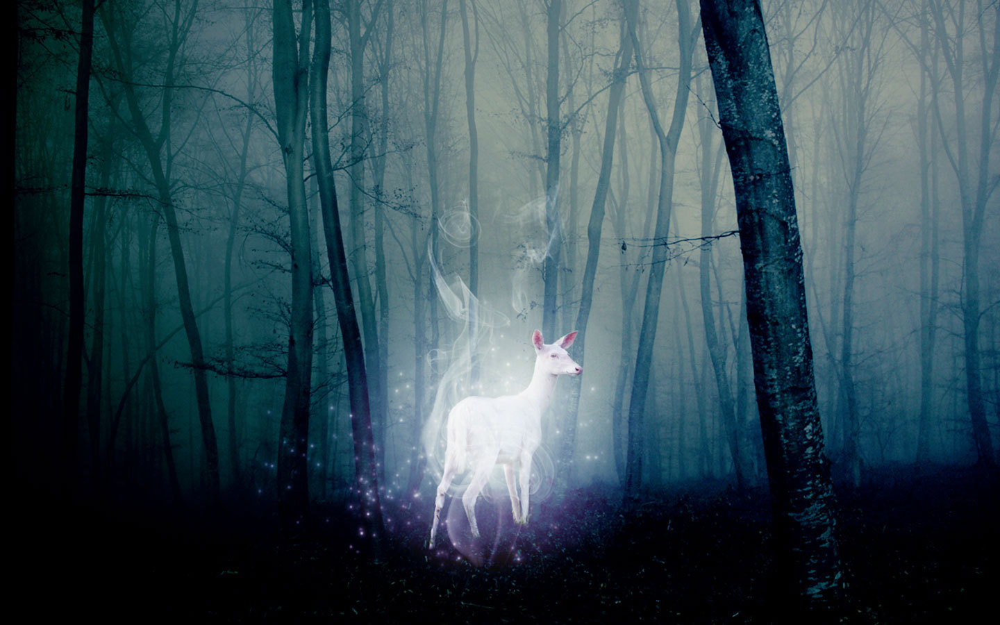 Best Patronus Wallpaper Harry