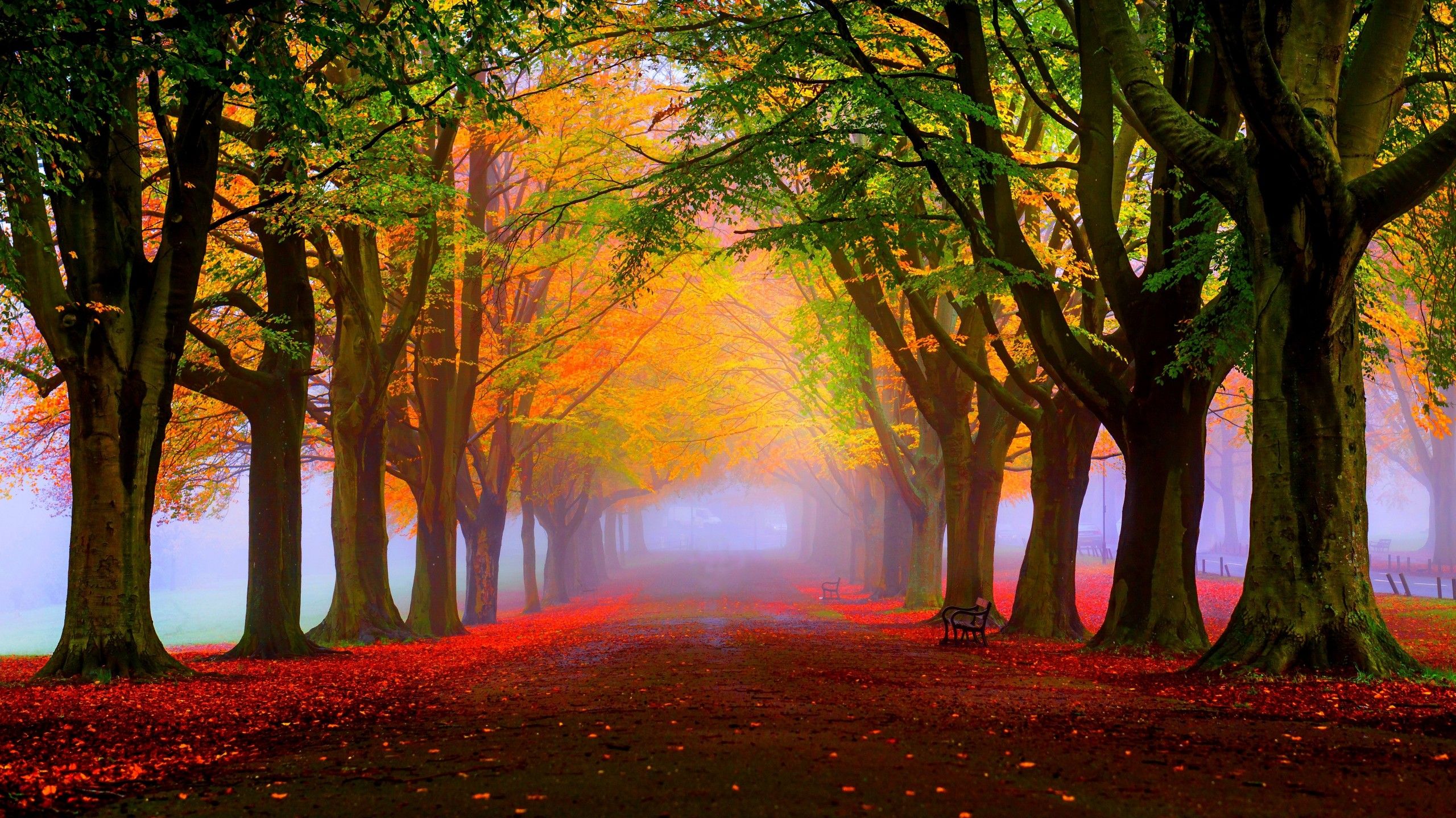 Fall Wallpaper On