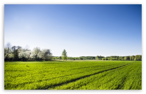 spring wallpaper widescreen   wwwhigh definition wallpapercom