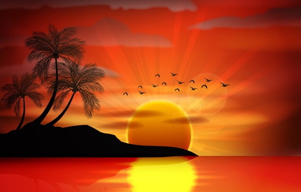 Vector sunset sea paradise tropical island palms silhouette