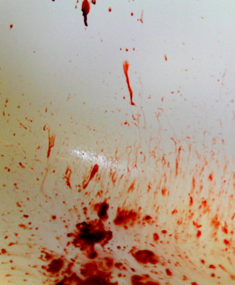 Blood On The Bathroom Floor By Littlenikkie
