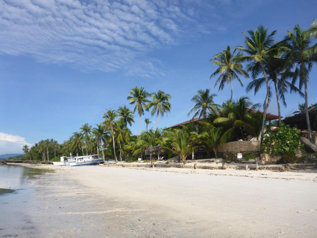 Island Beachfront Resort In Bohol Room Deals Photos Res