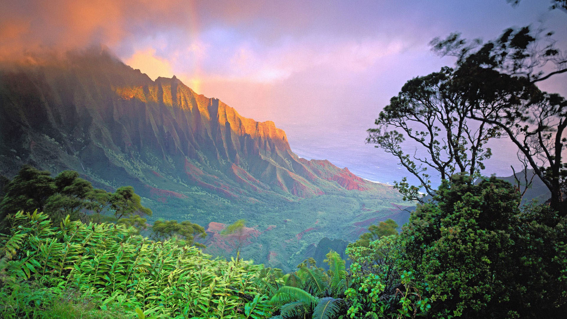 Nature Hawaii Wallpaper HD