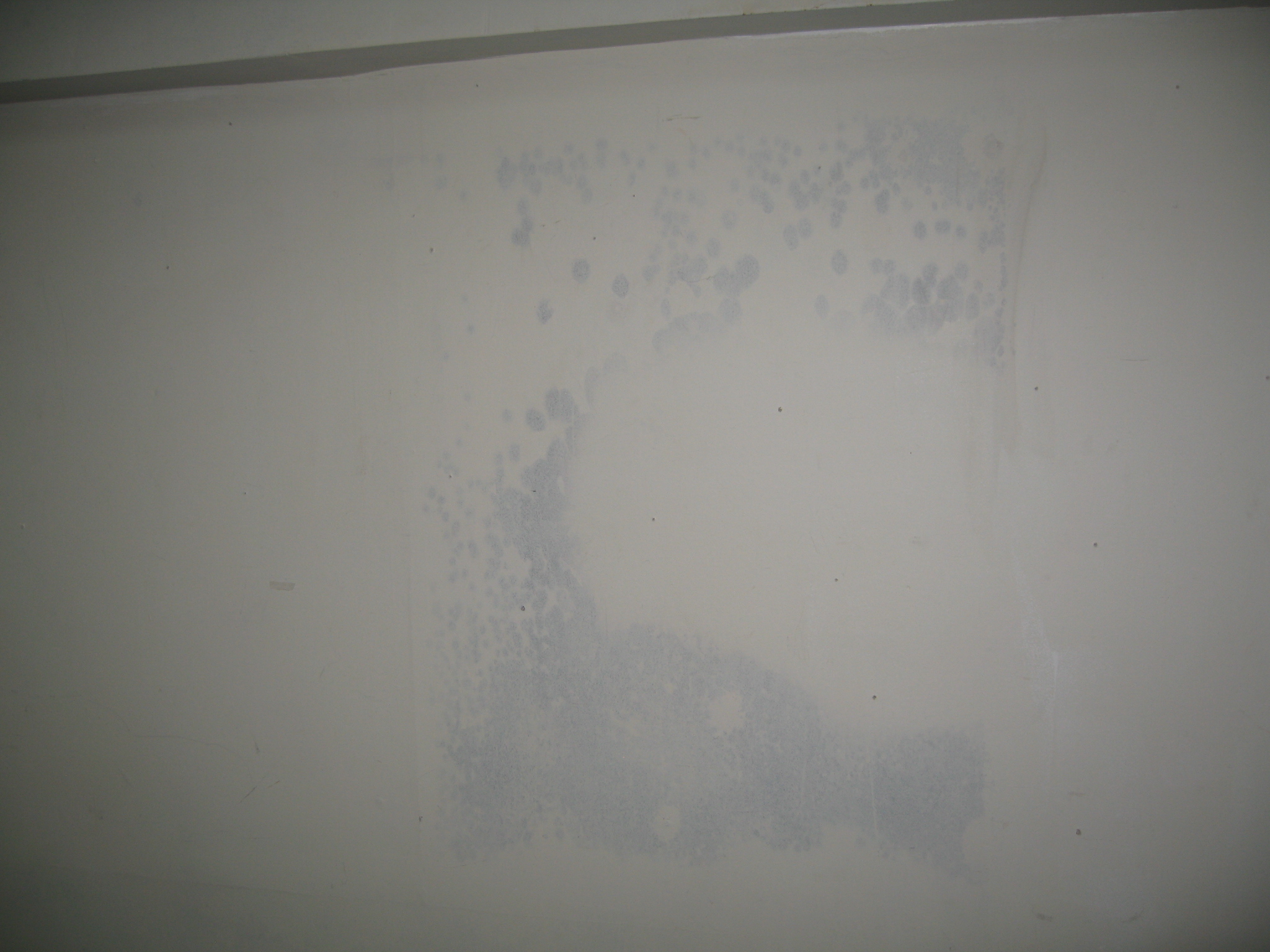 [49+] Remove Mold from Wallpaper on WallpaperSafari