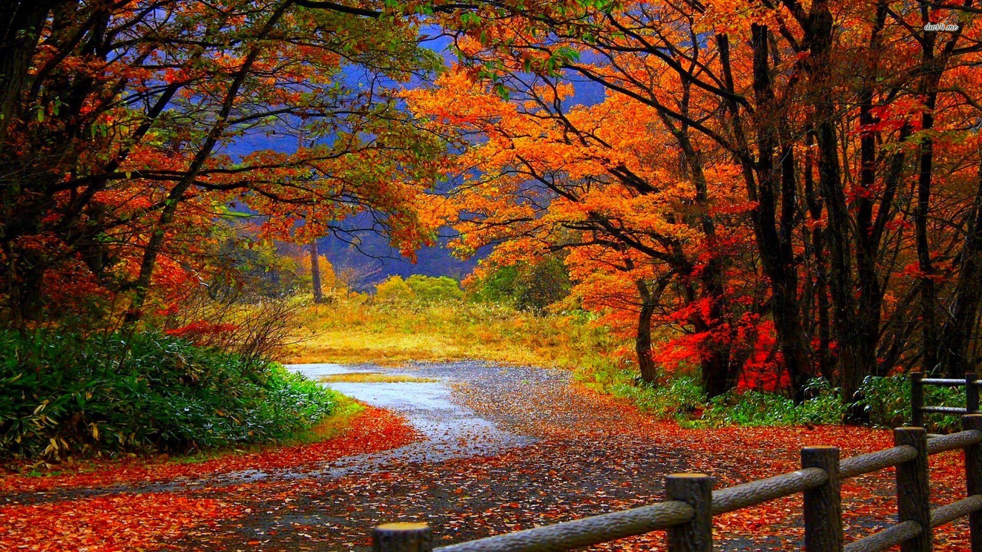 Autumn Colours Days Smartway Travel And Tours Inc