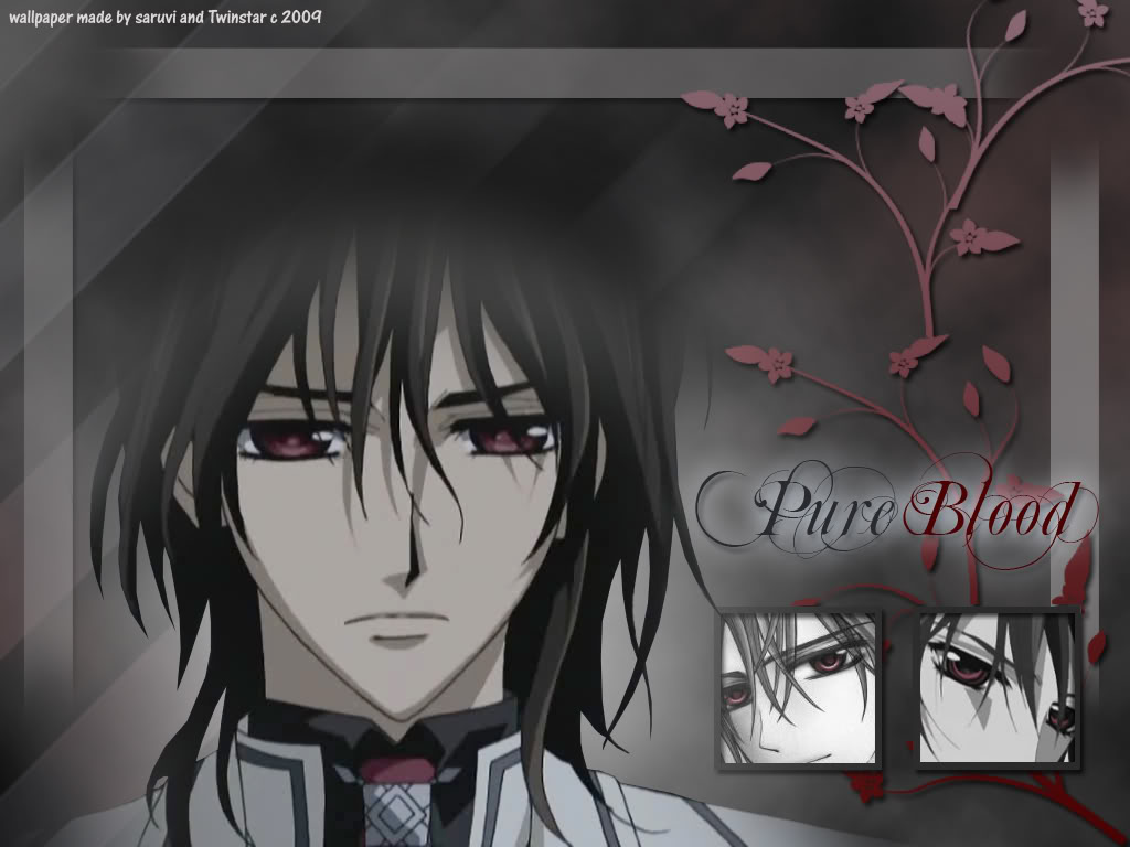 Vampire Knight Wallpaper Kaname 10262 Hd Wallpapers in Anime