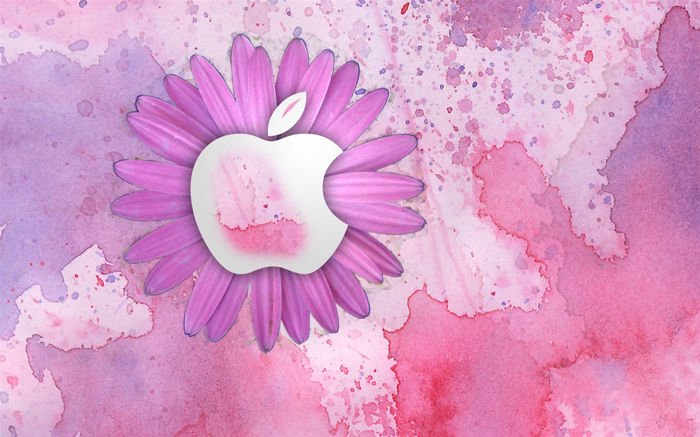 Wallpaper Pink Apple Logo Store Icon Missing