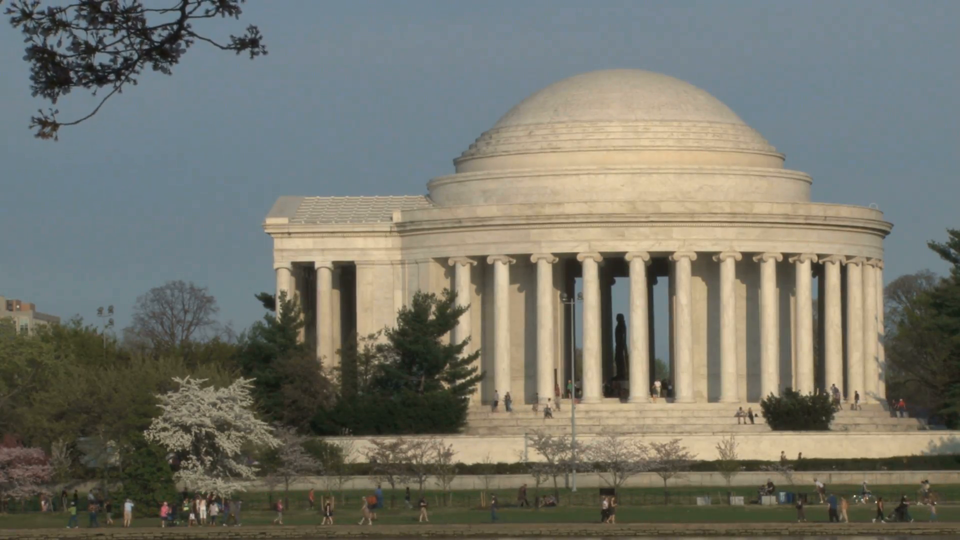 Cherry Blossoms And Thomas Jefferson Memorial Stock Video