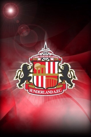 Sunderland AFC Crest Safc crest Andrew Fenwick Green