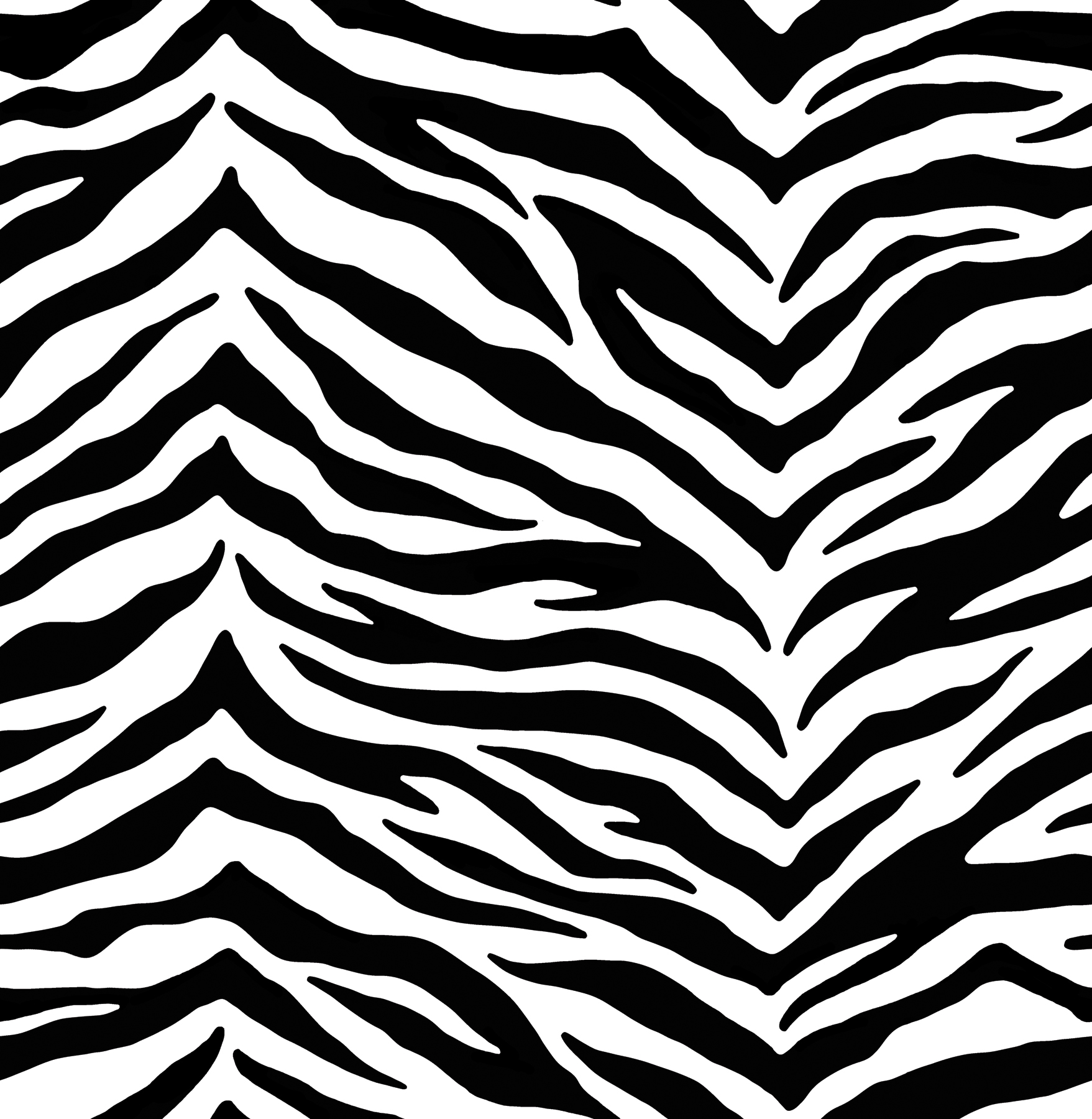 Black White Zebra Wallpaper