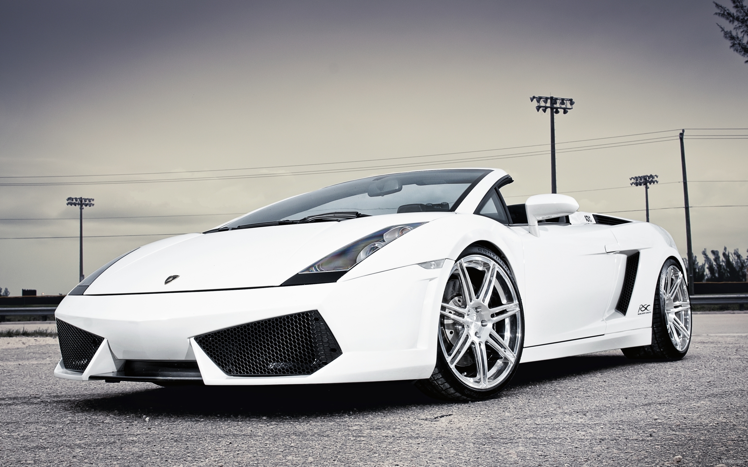 White Lamborghini Gallardo HD Desktop Wallpaper