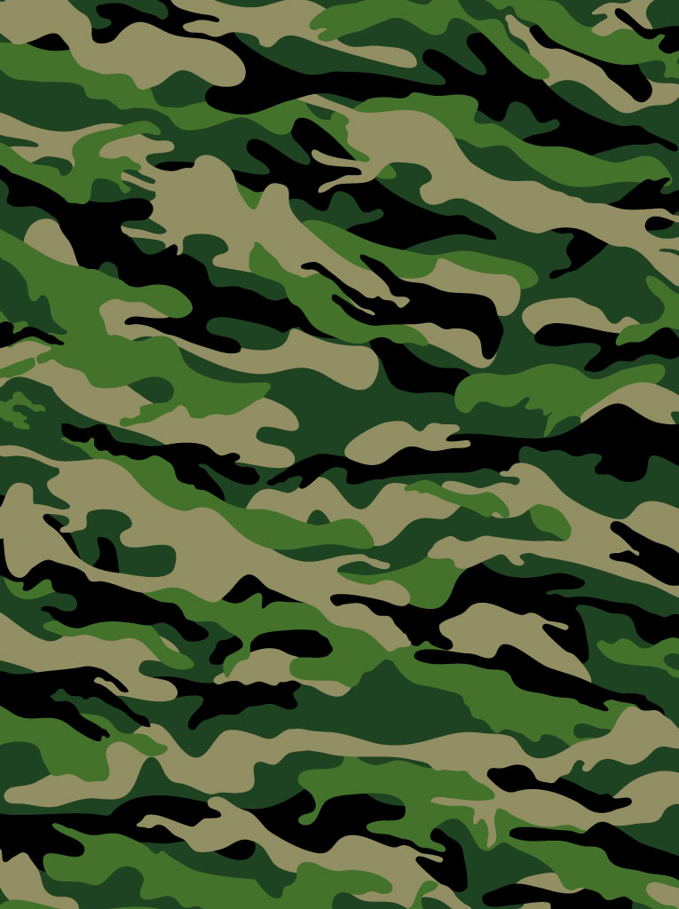 Camouflage Pattern Vector