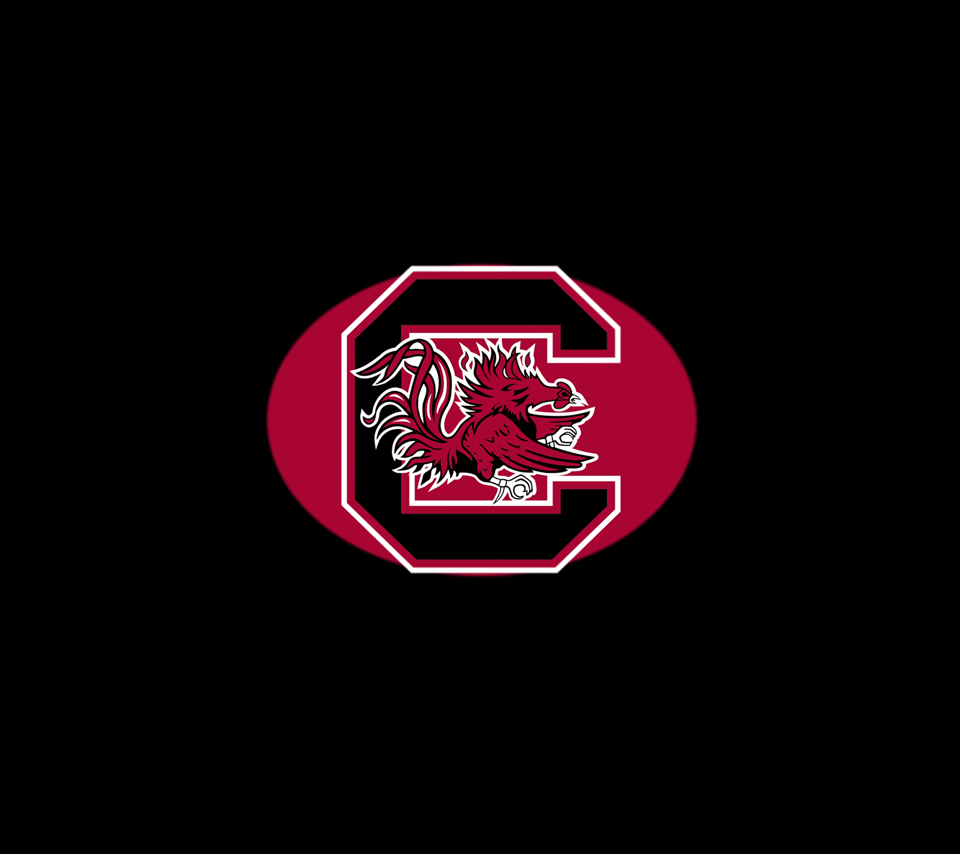 South Carolina Gamecocks Logo Sport Sports Soccer American