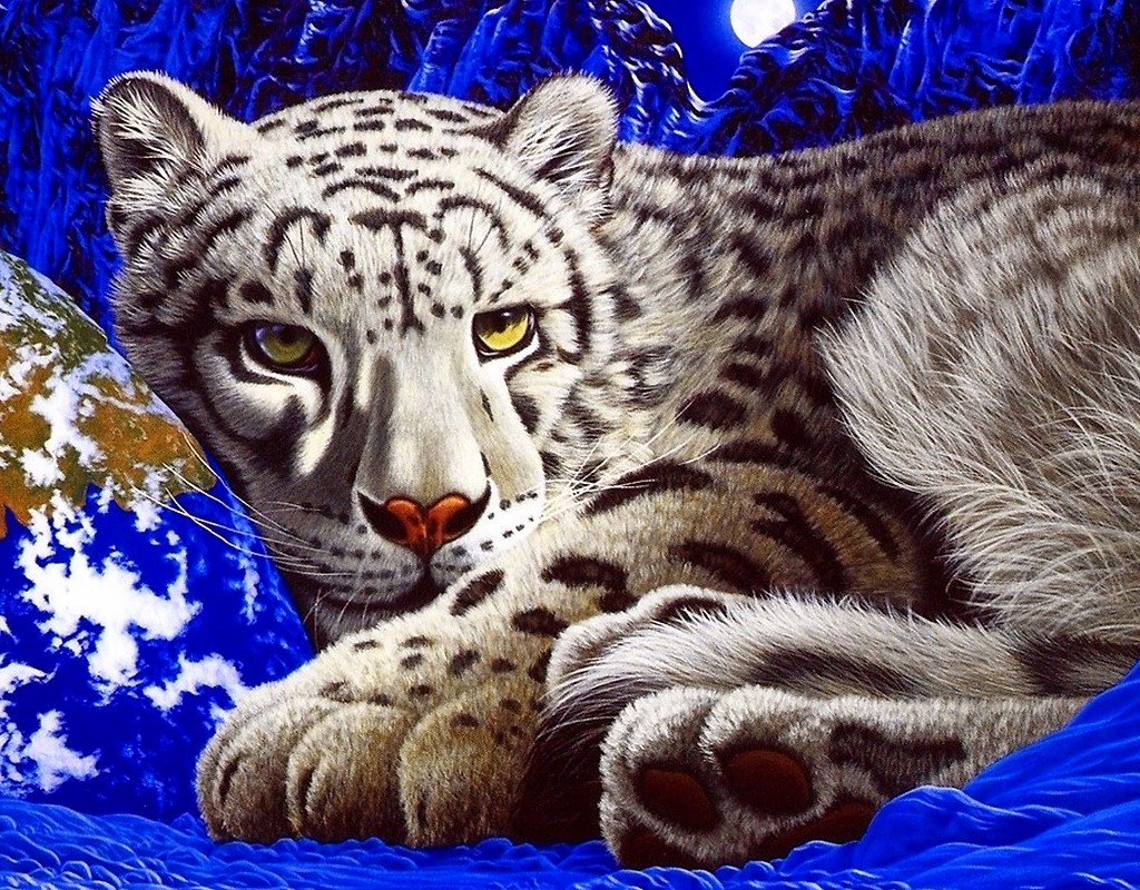 Cheetah Cute HD Wallpaper