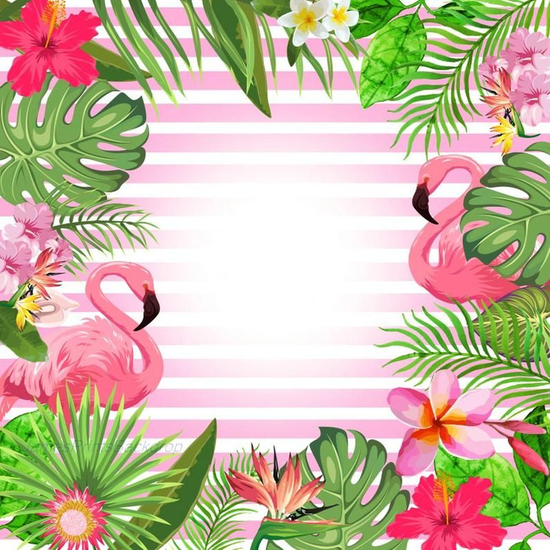Summer Flamingo Party Happy BirtHDay Banner Backdrop