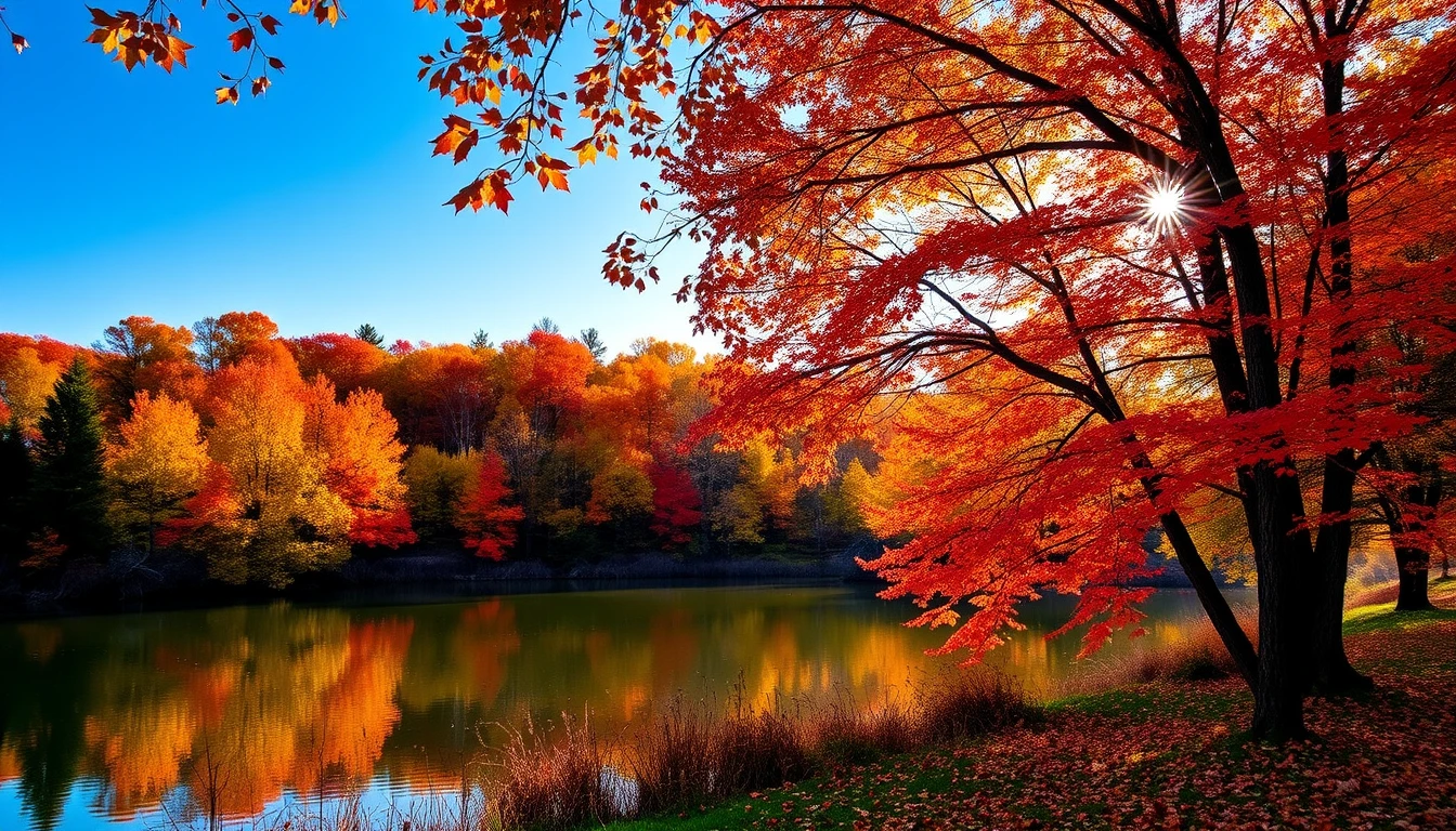 Autumn Wallpaper