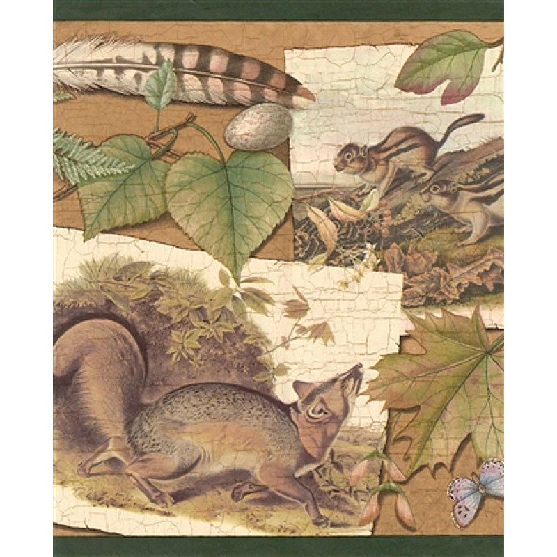 🔥 Free download Home Frog Prince Forest Wallpaper Border [900x500] for