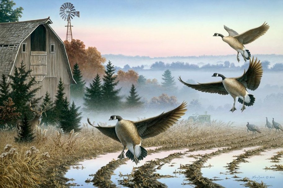 Larry Zach Canada Geese Wallpaper