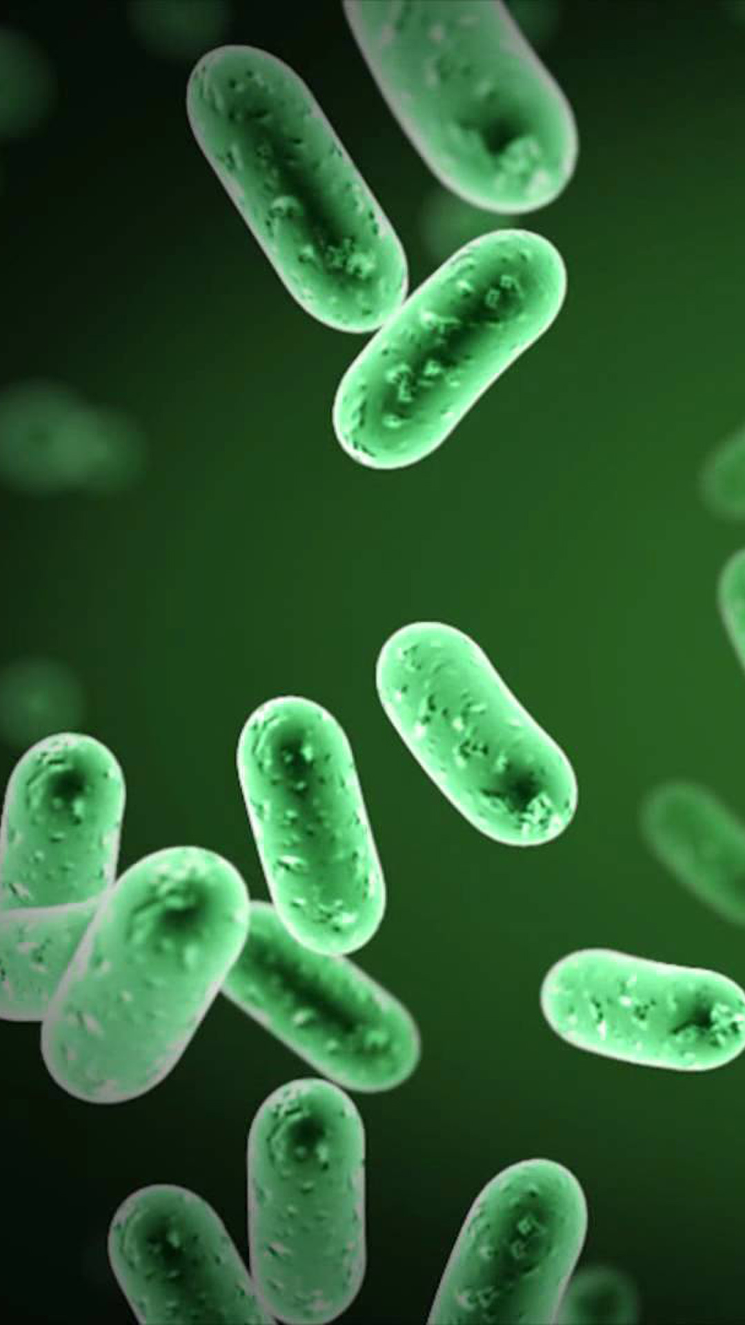 Bacteria Wallpaper On