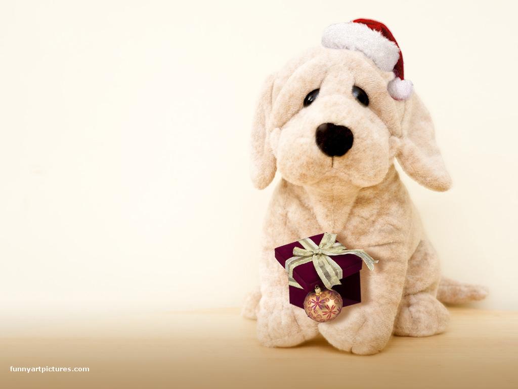 Desktop wallpapers Cute Christmas dog picture Christmas celebration