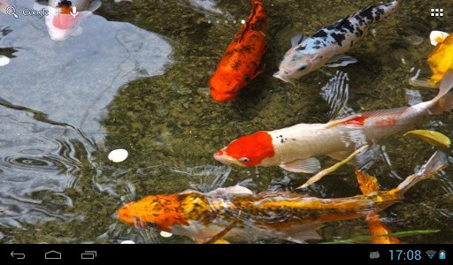 Koi Fish Live Wallpaper For Android By Angkor Appszoom