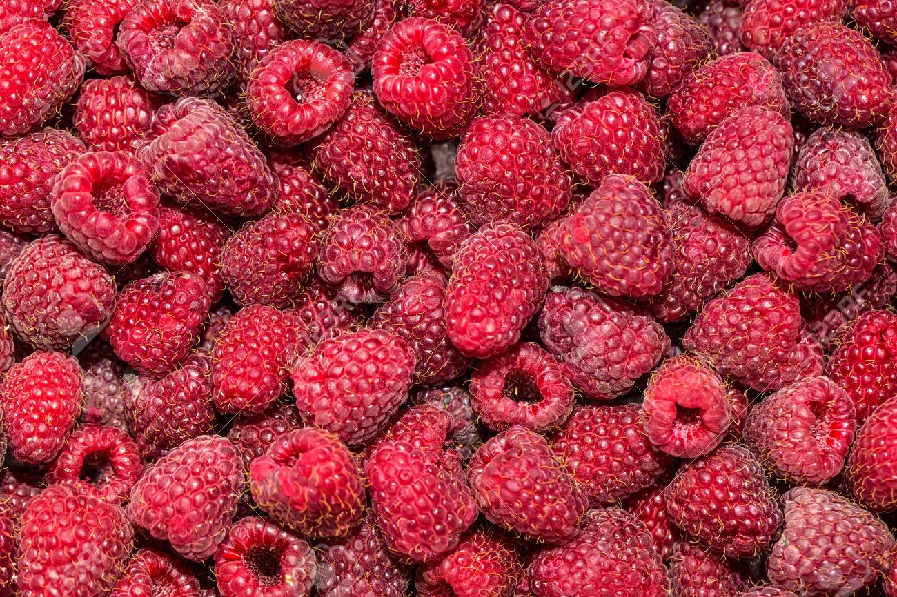 Raspberry Background Life Many Natural Fruits Health Stock Photo
