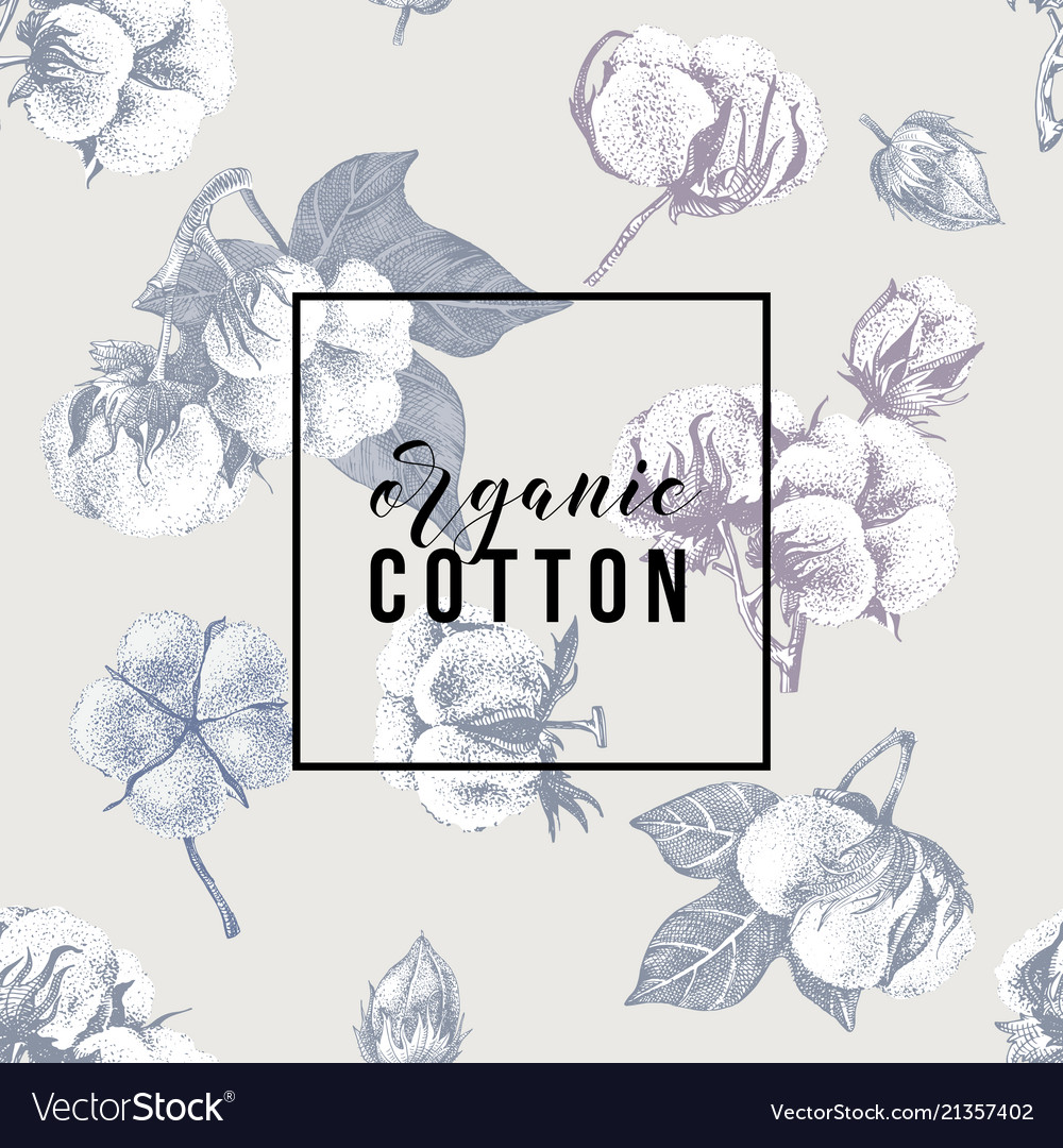 Organic cotton background Royalty Free Vector Image