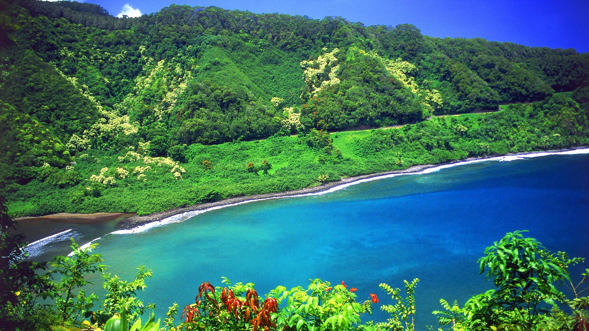 Background Road To Hana Turquoise Lagoon Maui Hawaii Jpg