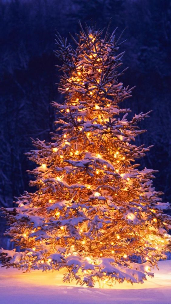 Christmas iPhone Wallpaper HD Live 4k