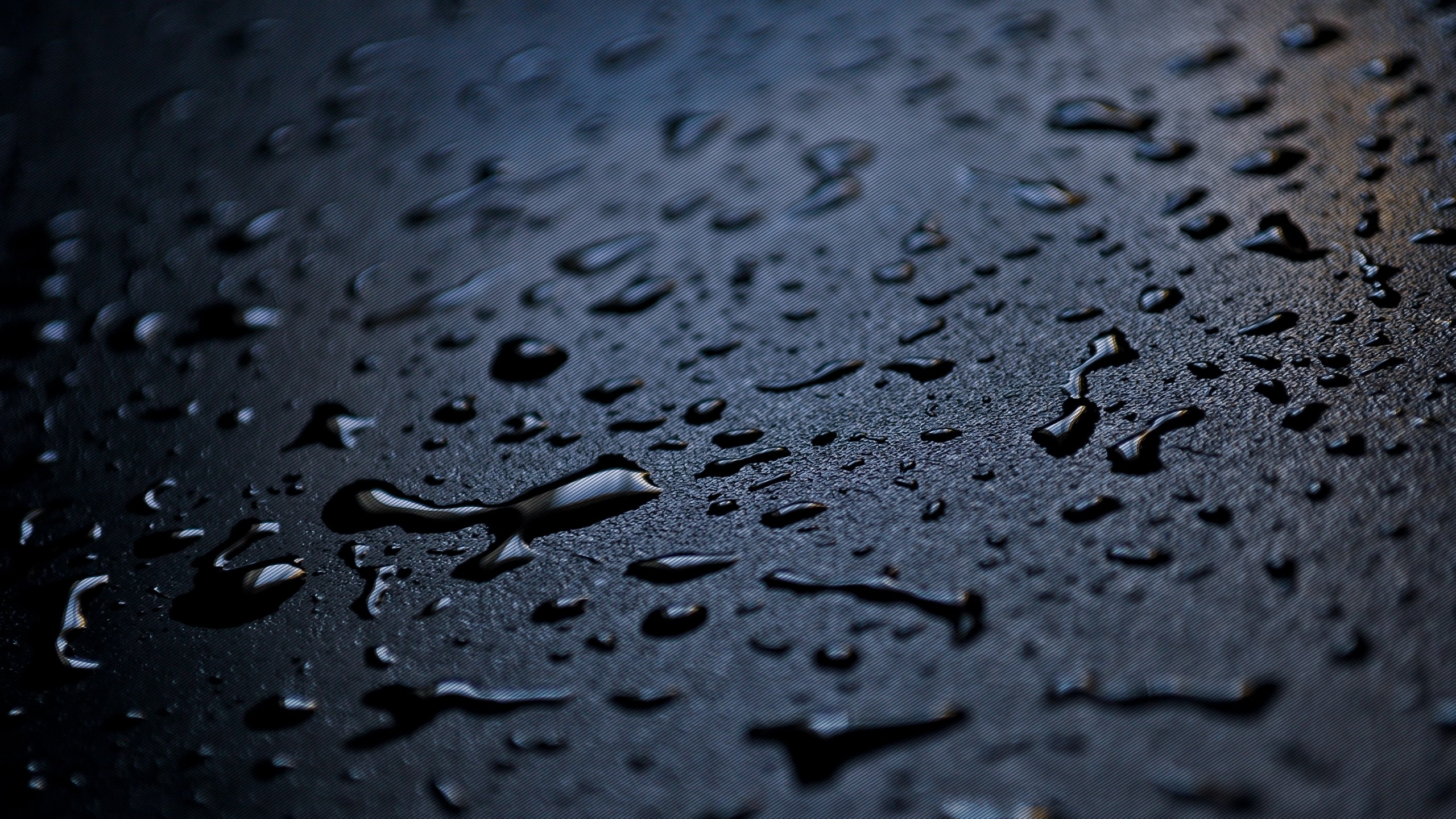 Close Up Raindrops Wallpaper Closeup