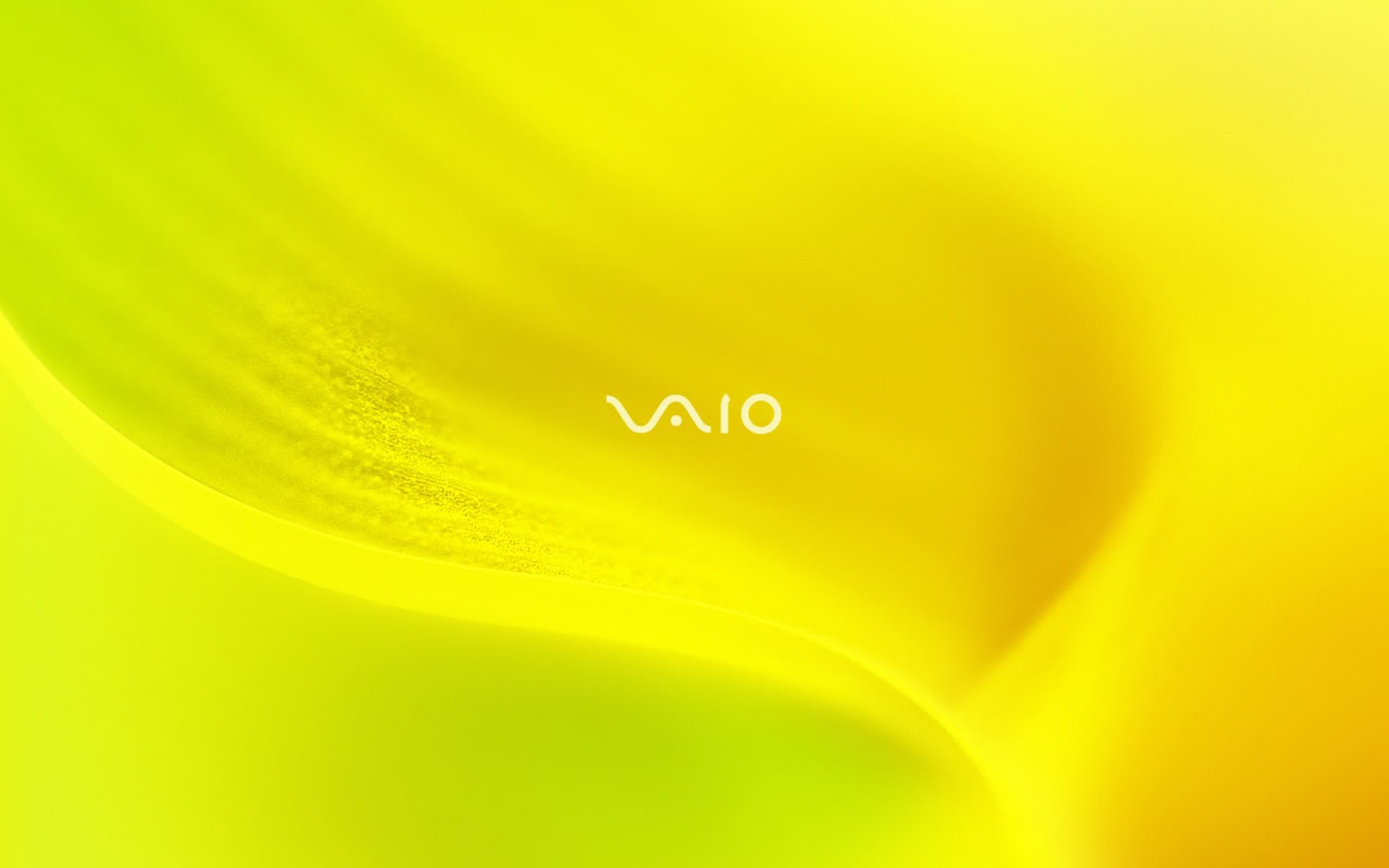 2560x1600 VAIO Tender Yellow desktop PC and Mac wallpaper