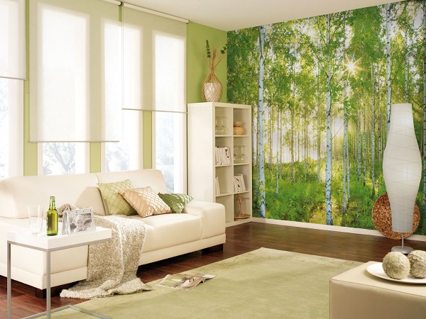 Nonwoven Wallpaper Summer Forest National Geographic