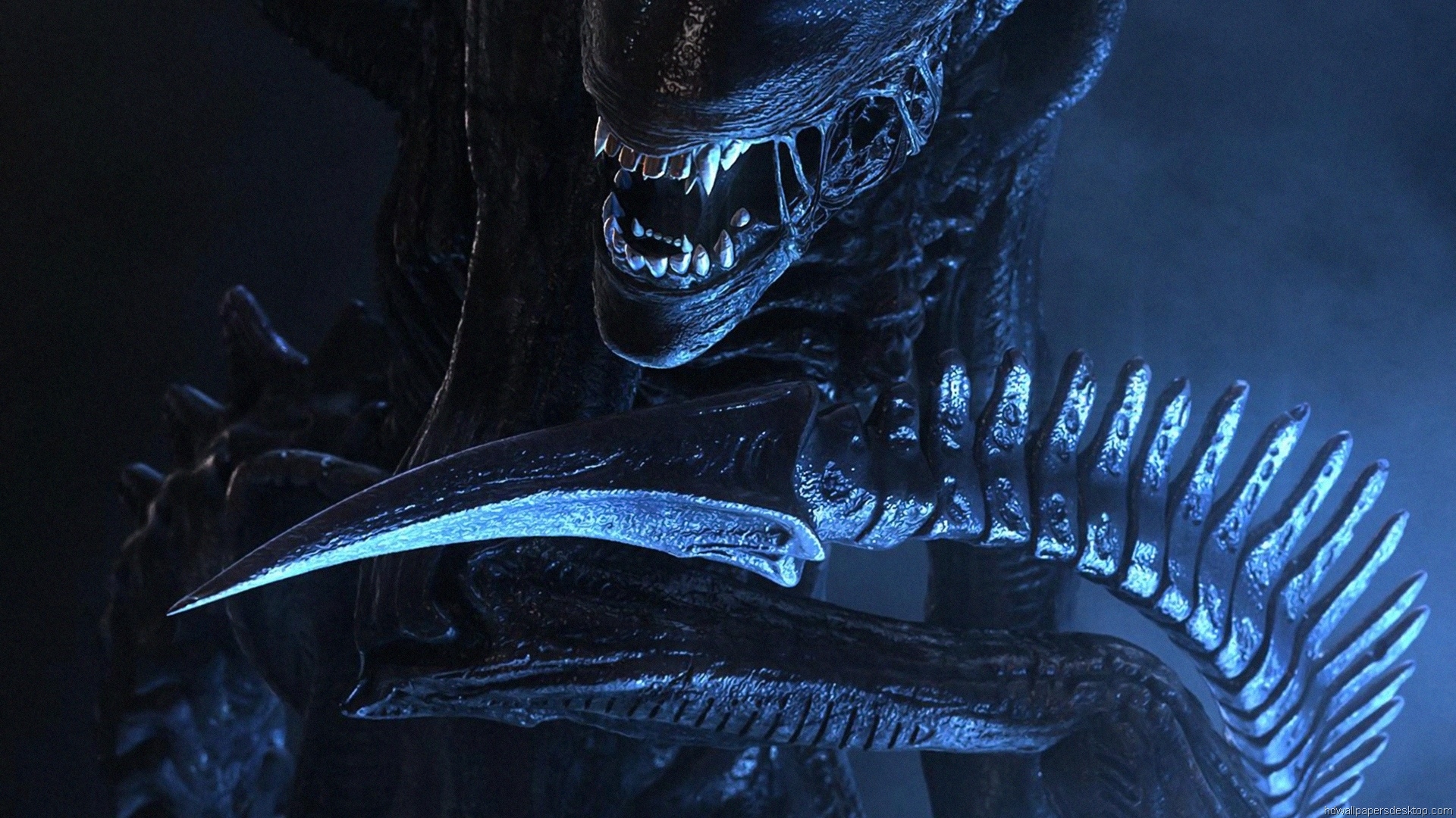 Movie HD Wallpapers Full HD 1080p Movies Wallpapers 198 aliens