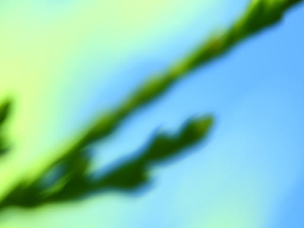 Placid Wallpaper By Unsubscribedharry