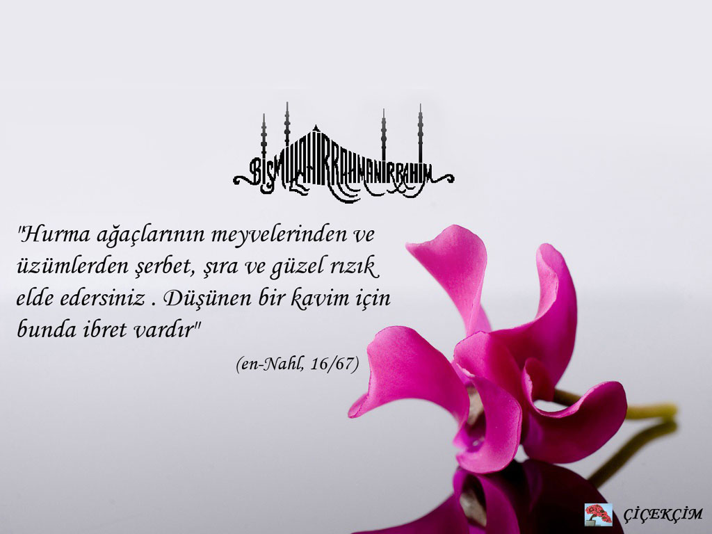 islamic wallpapers with sayings
